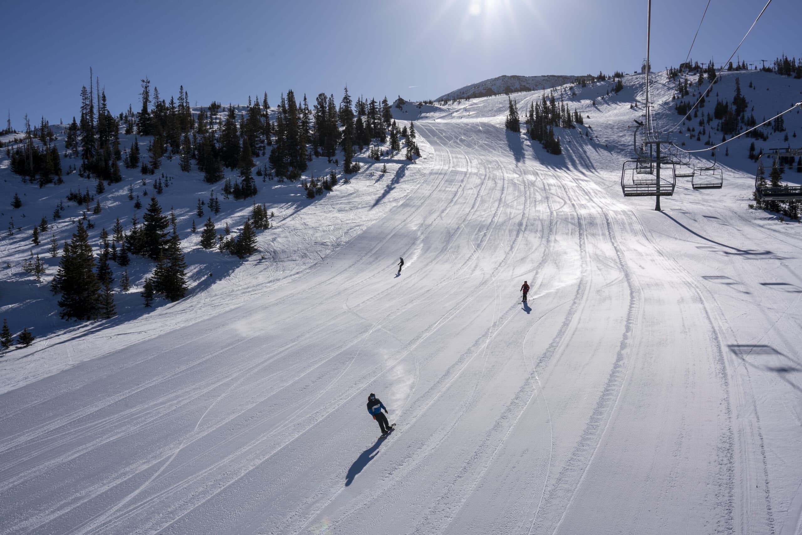 corduroy cash groomers